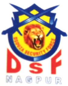 Dsouza Security Force