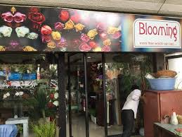 Blooming
