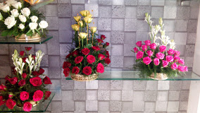 Riya Flowers