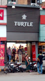 Turtle