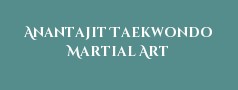Anantajit Taekwondo Martial Art