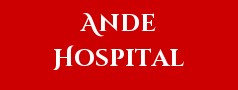 Ande Hospital