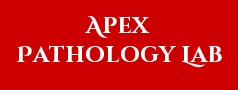 Apex Pathology Lab