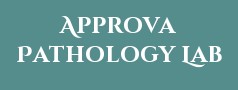 Approva Pathology Lab