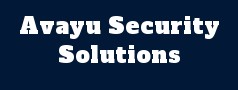 Avayu Security Solutions