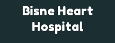 Bisne Heart Hospital