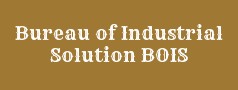 Bureau of Industrial Solution BOIS