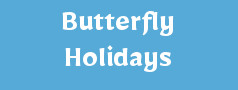 Butterfly Holidays