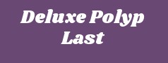 Deluxe Polyp Last Pvt Ltd