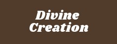 Divine Creation