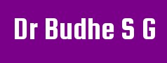 Dr Budhe S G