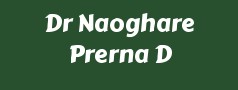 Dr Naoghare Prerna D