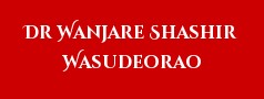 Dr Wanjare Shashir Wasudeorao