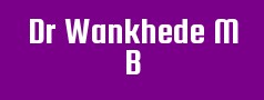 Dr Wankhede M B
