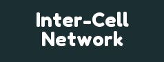 Inter-Cell Network Pvt Ltd