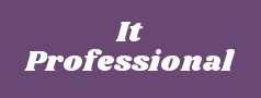 It Professional