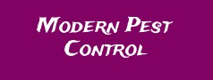 Modern Pest Control