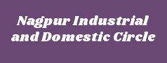 Nagpur Industrial and Domestic Circle