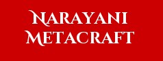 Narayani Metacraft