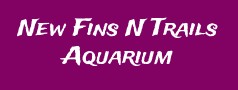 New Fins N Trails Aquarium