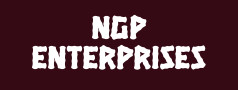 NGP ENTERPRISES 
