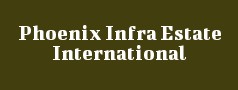 Phoenix Infra Estate International Limited 