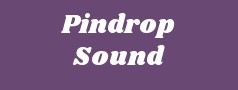 Pindrop Sound