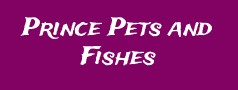 Prince Pets and Fishes