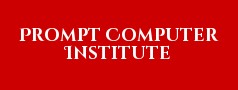 Prompt Computer Institute