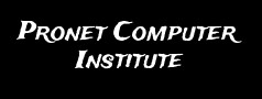 Pronet Computer Institute