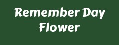 Remember Day Flower