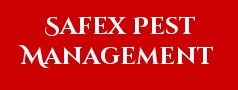 Safex Pest Management
