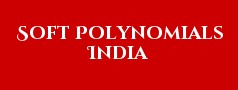 Soft Polynomials India Private Limited 