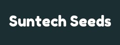 Suntech Seeds
