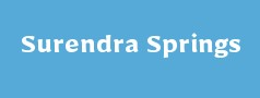 Surendra Springs Private Limited