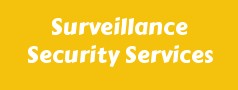 Surveillance Security Services