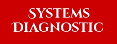 Systems Diagnostic