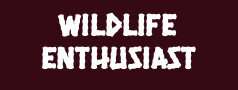 Wildlife Enthusiast