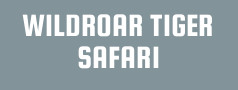 WILDROAR TIGER SAFARI